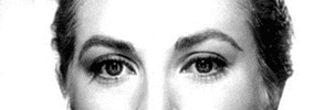 Eyes C: Evenly spaced, symmetrical, moderate-sized eyes